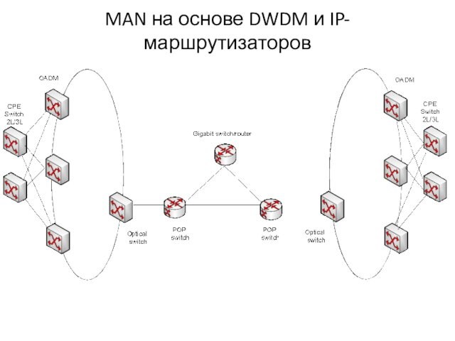 MAN на основе DWDM и IP-маршрутизаторов