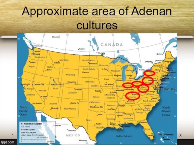 *Богдевич А.И. 2012Approximate area of Adenan cultures