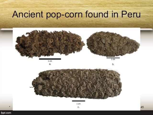 *Богдевич А.И. 2012Ancient pop-corn found in Peru