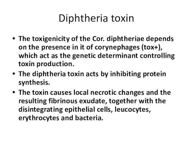  Diphtheria toxin The toxigenicity of the Cor. diphtheriae depends on the presence in it of corynephages