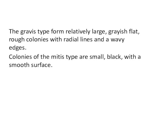 The gravis type form relatively large, grayish flat, rough colonies with radial lines and a wavy