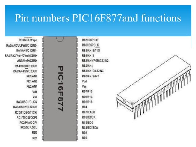 Pin numbers PIC16F877and functions