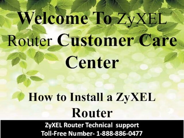 Welcome To ZyXEL Router Customer Care Center  How to Install a ZyXEL  Router 
