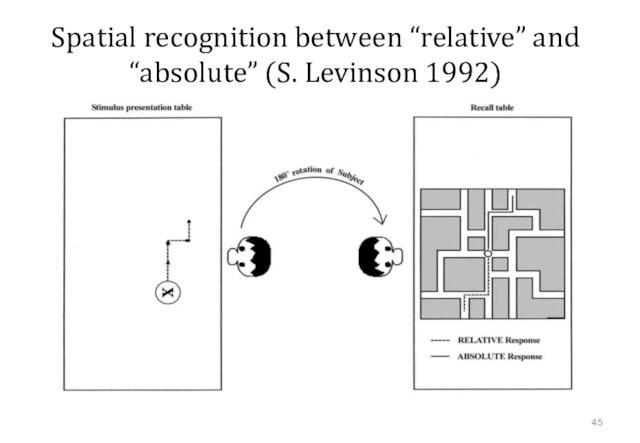 Spatial recognition between “relative” and “absolute” (S. Levinson 1992)