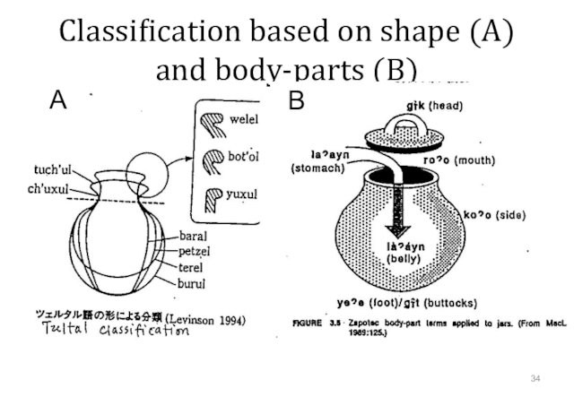 Classification based on shape (A) and body-parts (B) AB