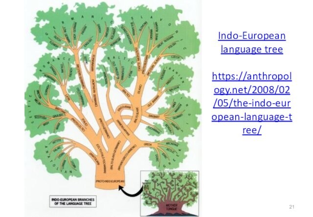 Indo-European language tree  https://anthropology.net/2008/02/05/the-indo-european-language-tree/