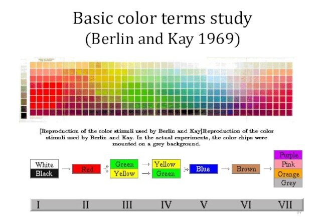 Basic color terms study (Berlin and Kay 1969)