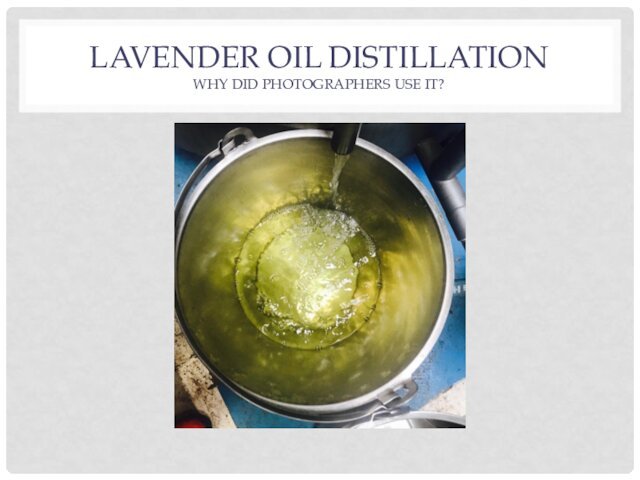 LAVENDER OIL DISTILLATION WHY DID PHOTOGRAPHERS USE IT?
