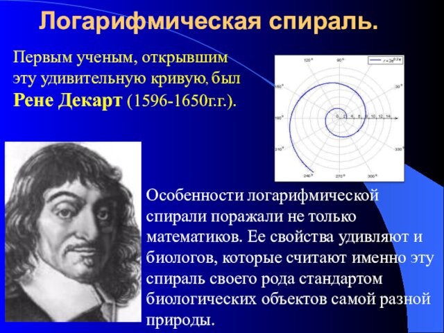 (1596-1650г.г.). Особенности логарифмической спирали поражали не только математиков. Ее свойства удивляют и биологов, которые считают