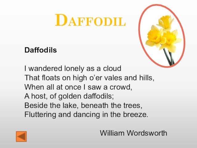 DaffodilDaffodils I wandered lonely as a cloud That floats on high o’er vales and hills,