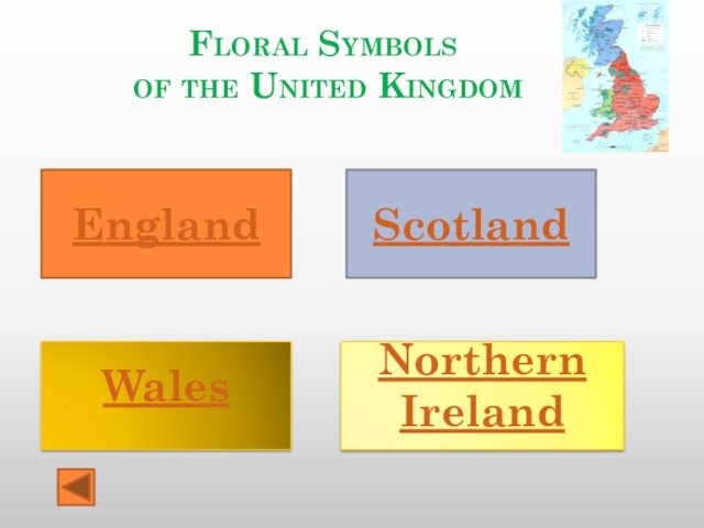 Floral Symbols of the United KingdomEnglandWalesScotland Northern Ireland