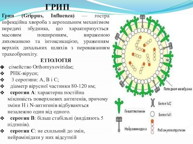 ГРИПГрип (Grippus, Influenza) — гостра інфекційна хвороба з аерозольним механізмом передачі збудника, що характеризується масовим