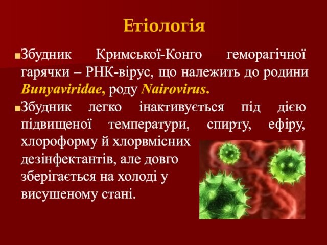 ЕтіологіяЗбудник Кримської-Конго геморагічної гарячки – РНК-вірус, що належить до родини Bunyaviridae, роду Nairovirus. Збудник легко інактивується