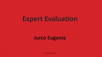 Expert Evaluation