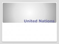 Organization The United Nations (UN )