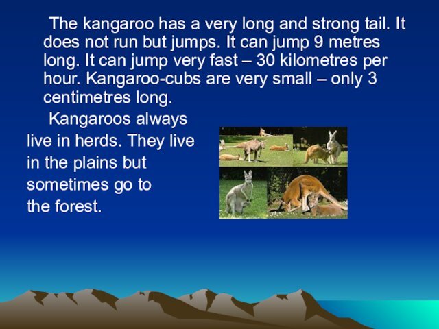 The kangaroo has a very long and strong tail. It does not