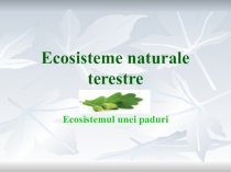 Ecosisteme naturale terestre