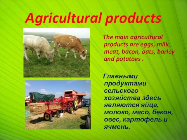 Agricultural products  The main agricultural products are eggs, milk, meat, bacon,