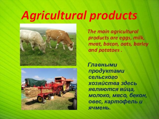 Agricultural products The main agricultural products are eggs, milk, meat, bacon, oats, barley and potatoes