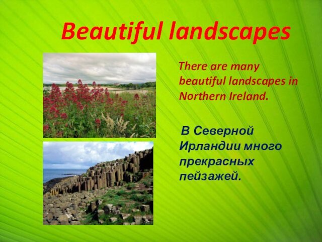Beautiful landscapes  There are many beautiful landscapes in