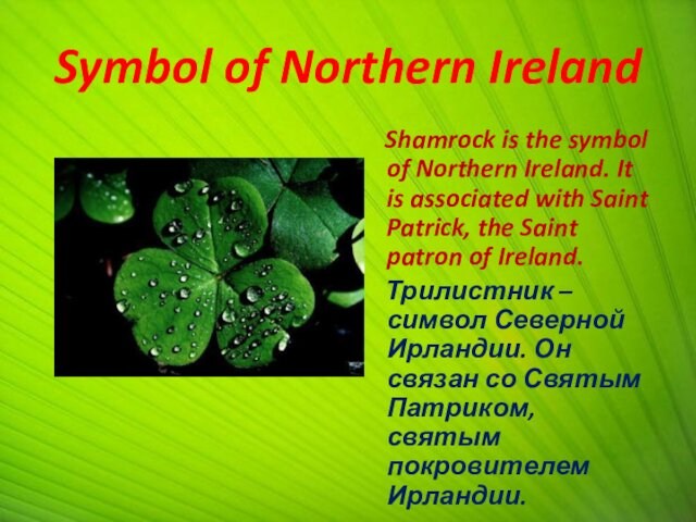 Symbol of Northern Ireland Shamrock is the symbol of Northern Ireland. It is associated with