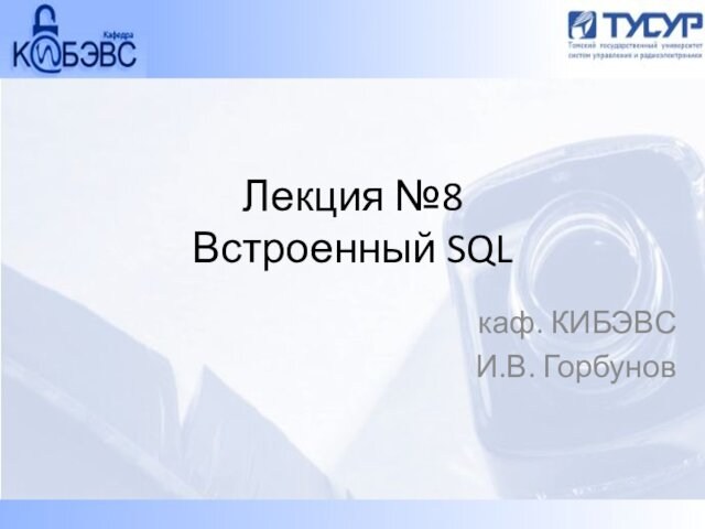 Встроенный SQL. Хранимые процедуры. (Лекция 8)