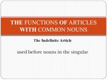 The functions of articles with common nouns