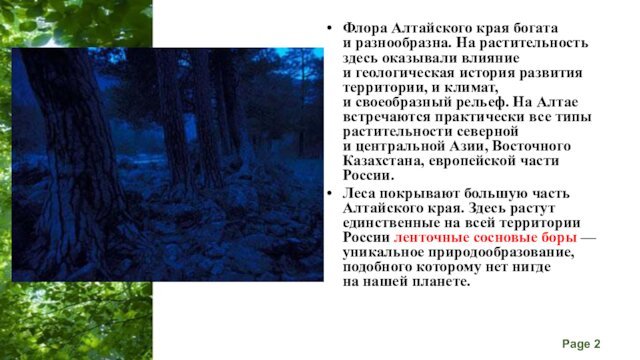 Флора Алтайского края богата и разнообразна. На растительность здесь оказывали влияние и геологическая история развития