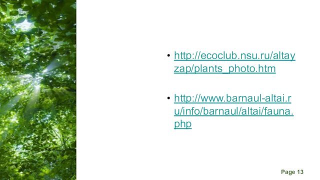 http://ecoclub.nsu.ru/altayzap/plants_photo.htmhttp://www.barnaul-altai.ru/info/barnaul/altai/fauna.php