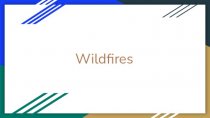 Introduction to wildfires