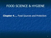 Food sources and protection. (Chapter 4)