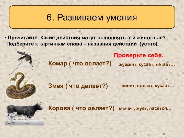 Слова отвечающие на вопрос что делать. На какой вопрос отвечает слово ползло что сделал или что делал. На какой вопрос отвечает слово животное кто или что.