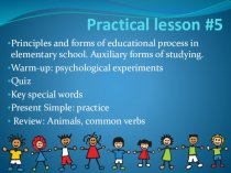 Principles and forms of educational process in elementary school. Auxiliary forms of studying