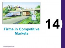 Firms in competitive markets. (Lecture 14)