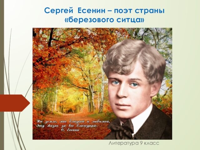 Драматизм судьбы поэта с а есенин. Есенин поэт. Страна поэтов. Страна березового ситца. Страна березового ситца средство выразительности.