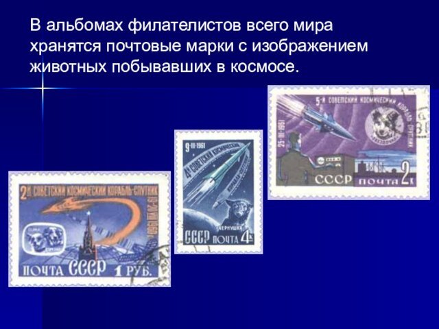 В альбомах филателистов всего мира хранятся почтовые марки с изображением животных побывавших в космосе.