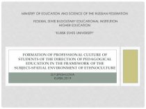 Formation of professional culture of students of the direction of pedagogical education in the framework of the subject-spatial
