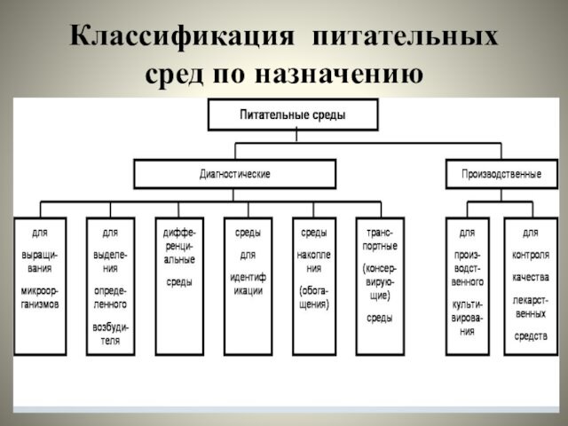 Питательные среды схема