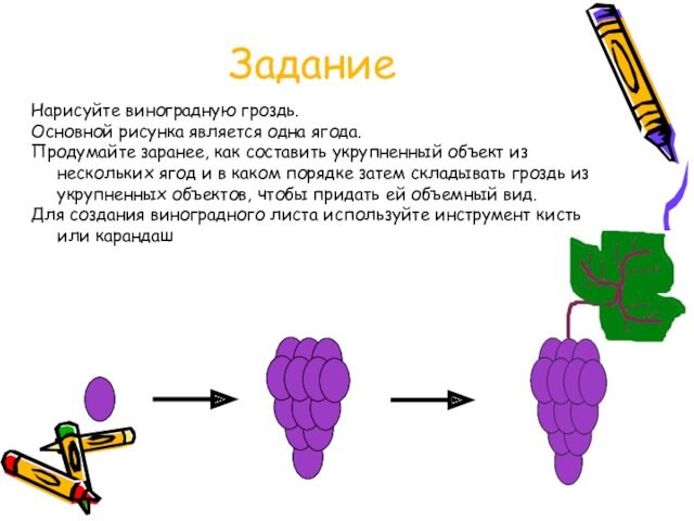 ЗаданиеНарисуйте виноградную гроздь.Основной рисунка является одна ягода. Продумайте заранее, как составить укрупненный объект из нескольких