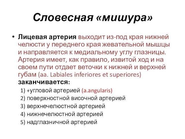 Словесная «мишура»Лицевая артерия выходит из-под края нижней челюсти у переднего края жевательной мышцы и направляется