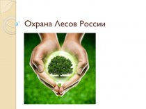 Охрана лесов России