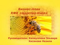 Бизнес-план КФХ Царство пчел
