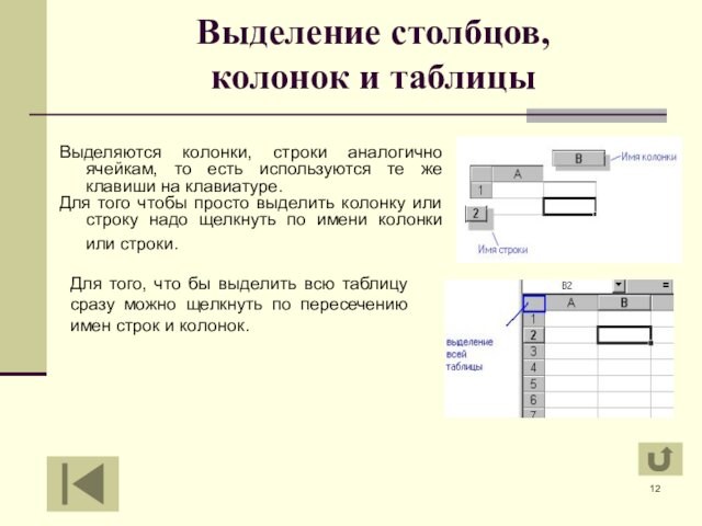 Выделение столбцов, 
 колонок и таблицыВыделяются колонки, строки аналогично ячейкам, то есть используются те же