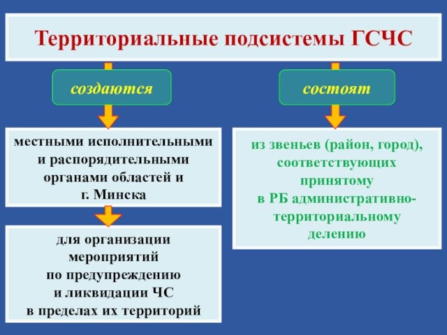 Территориальные подсистемы ГСЧСместными исполнительными и распорядительными органами областей и г. Минскадля организации мероприятий по предупреждению