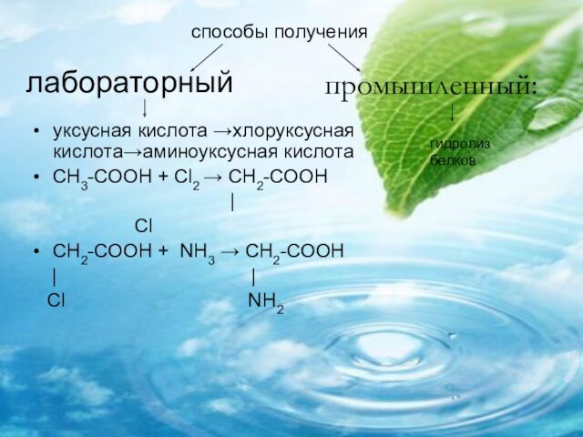 лабораторный 	уксусная кислота →хлоруксусная кислота→аминоуксусная кислотаСН3-СООН + Сl2 → СН2-СООН