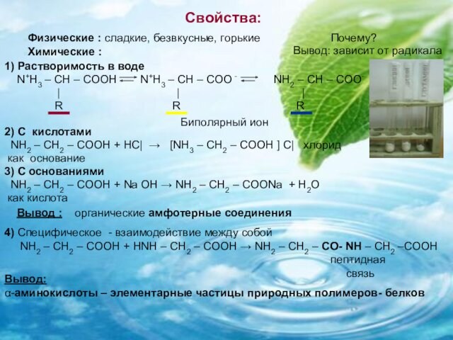 Свойства: 1) Растворимость в воде    N+H3 – CH – COOH 	N+H3 –