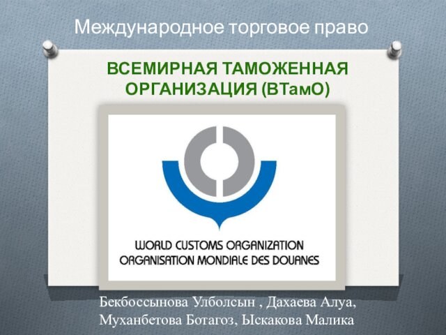 Всемирная таможенная организация (ВТамО)