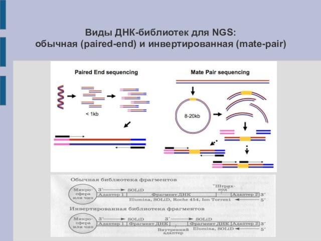 Ngs. NGS секвенирование. Виды ДНК. Технологии массового параллельного секвенирования. Секвенирование NGS ограничения.