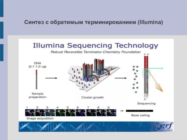 Секвенирование нового поколения. Секвенирование нового поколения NGS. Проточная ячейка для секвенирования. Секвенирование синтезом. NGS метод в генетике.
