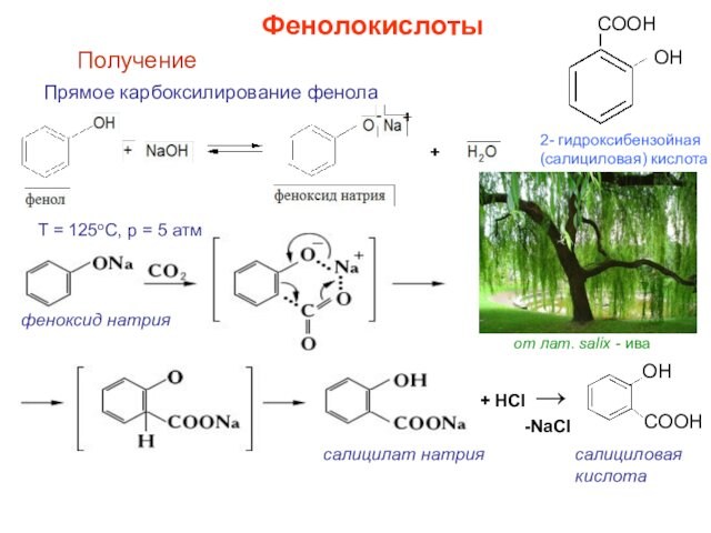 Получение фенола в промышленности